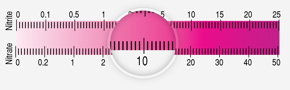 Nitrate Conversion Chart