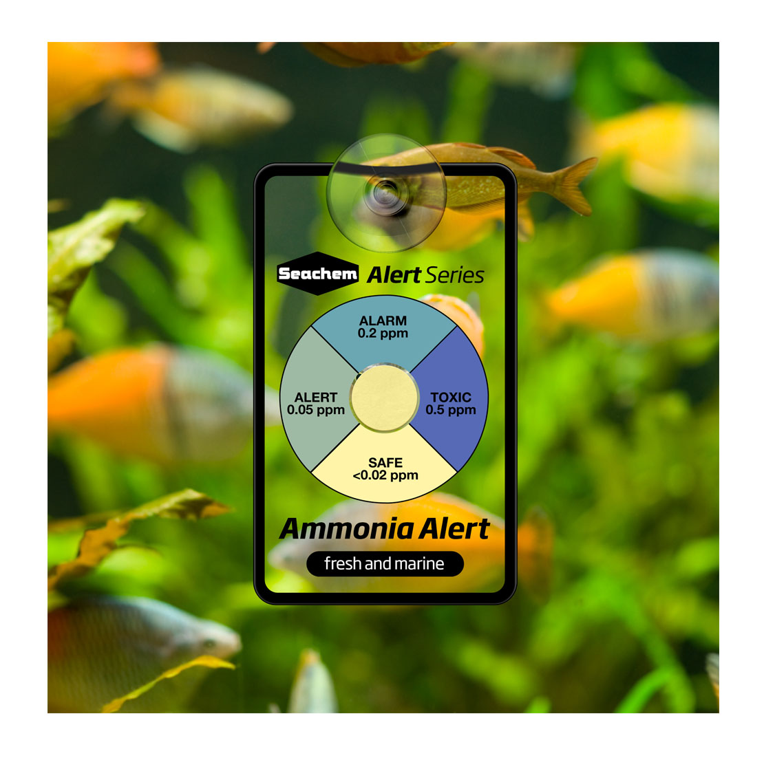 Ph Ammonia Toxicity Chart